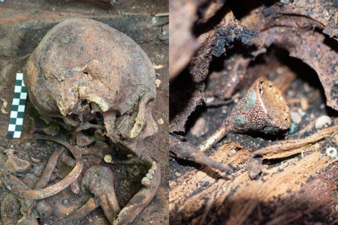 Ancient Noble Woman’s Tomb Unveils Remarkable Treasures in Siberia’s Royal Valley