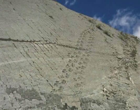 Enshrined in Stone: Cal Orck’o’s Timeless Prehistoric Dance Floor