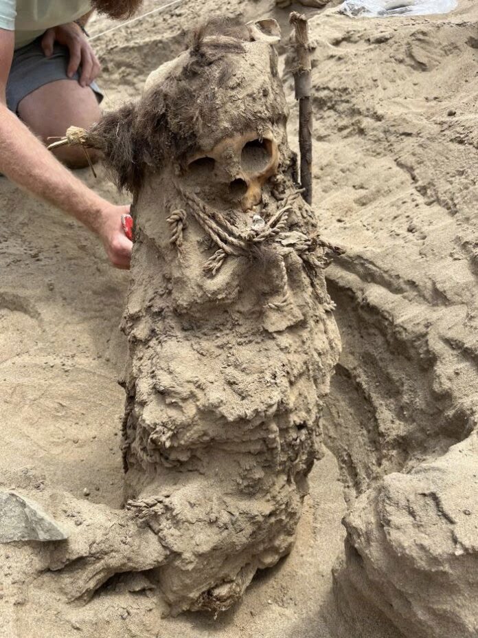 Peru’s Ancient Secrets Revealed: 22 Child and Infant Burials Discovered