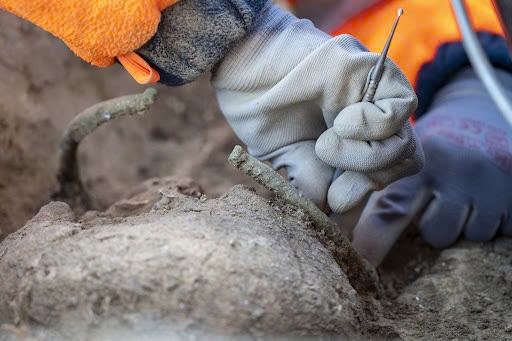 Unearthing the Past: Bronze Age Secrets Revealed in Ancient French Necropolis