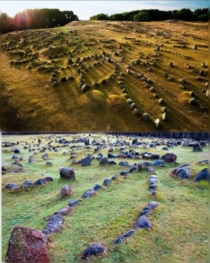 Unveiling the Mysteries of Lindholm Høje: A Journey Through Time at the World’s Largest Viking Burial Ground