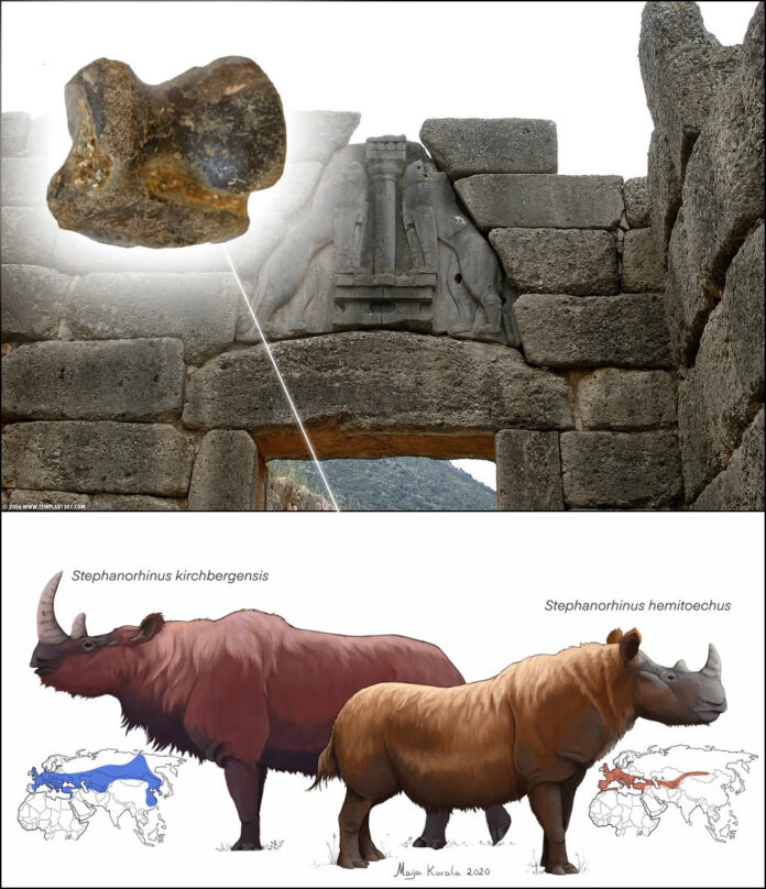 Unveiling Mycenaean Enigmas: Ice Age Rhino Fossil Reveals Ancient Wonders