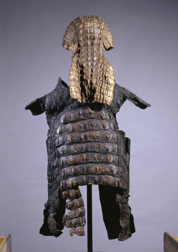 Discovering Rome’s Crocodile Warriors: Unraveling Their Exotic Nile Armor